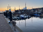 IMG_0147.jpeg